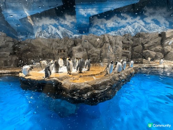 好多動物睇，小朋友好鍾意