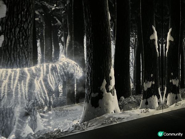 浸沉式體驗 感覺置身其中 十分不錯 可惜香港將會撤出 