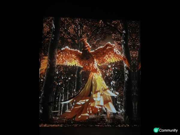 浸沉式體驗 感覺置身其中 十分不錯 可惜香港將會撤出 