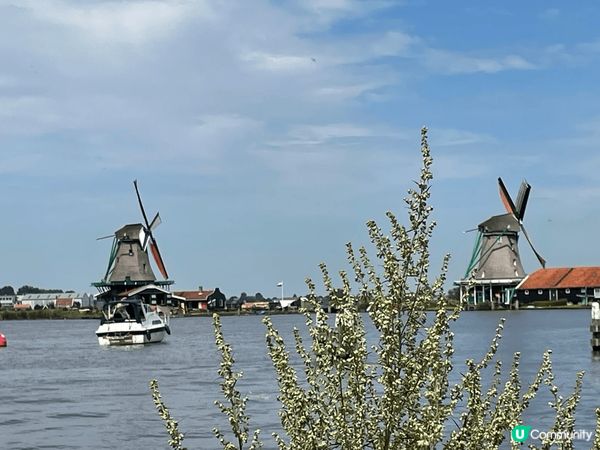 阿姆斯特丹風車村??不一樣的風景，充滿歐洲色彩，到荷蘭一定要...