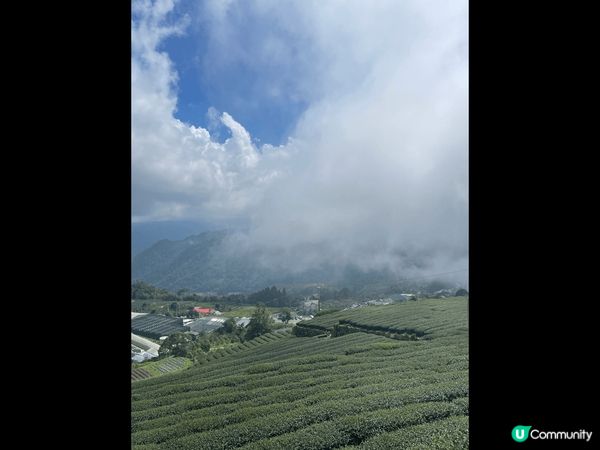 台灣有可玩之處非常多，除了城市之外，有陽光與海灘，亦有高山茶...