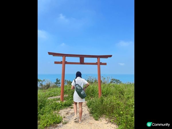 台灣有可玩之處非常多，除了城市之外，有陽光與海灘，亦有高山茶...