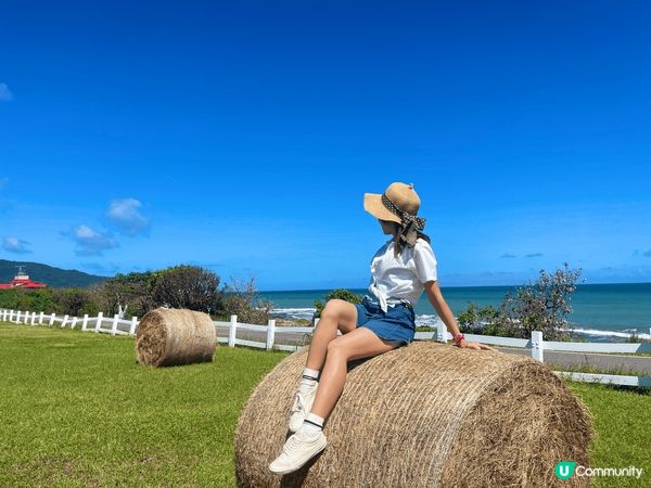 台灣有可玩之處非常多，除了城市之外，有陽光與海灘，亦有高山茶...