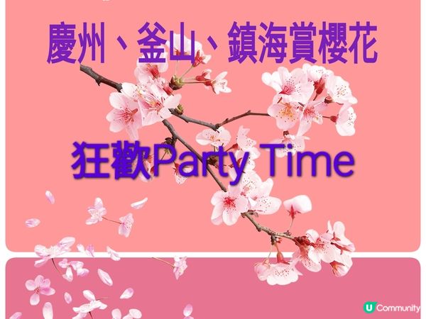 今年我第一次到韓國賞櫻，去到鎮海賞櫻勝地，好浪漫，不愧為打卡...