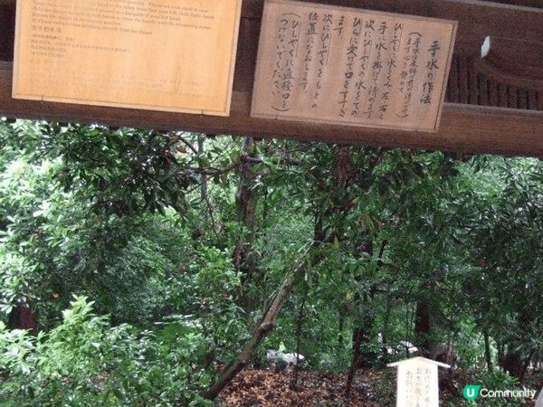 去東京唔一定只有shopping+食好野?！近郊都有「寺廟」...