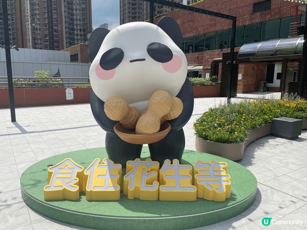 陪小朋友到恐龍公園放電時, 路經帝都酒店途中, 見到這幾隻配...