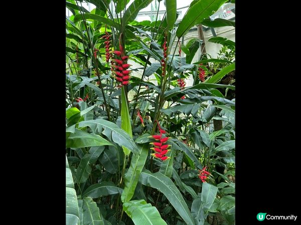 香港公園一天遊