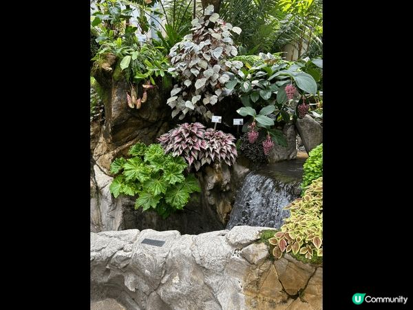 香港公園一天遊