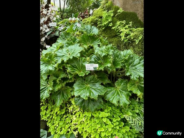 香港公園一天遊