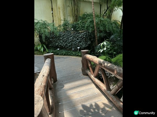 香港公園一天遊