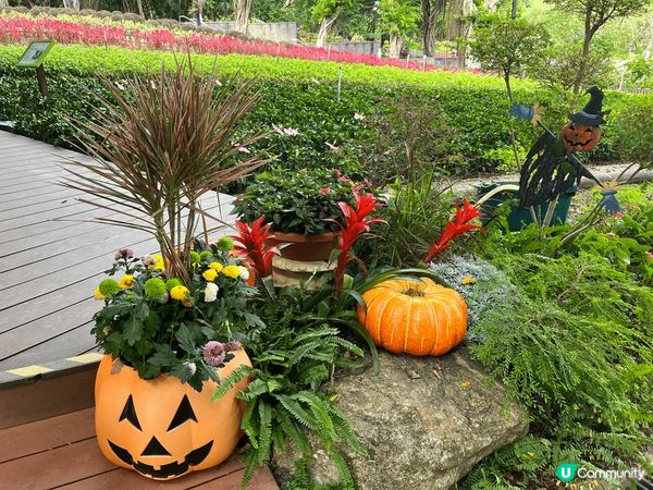 琴日去大埔海濱公園，估唔到園內都加入halloween裝飾～...