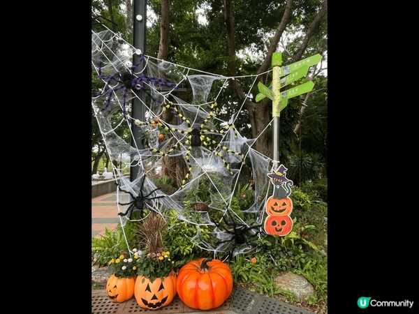 琴日去大埔海濱公園，估唔到園內都加入halloween裝飾～...