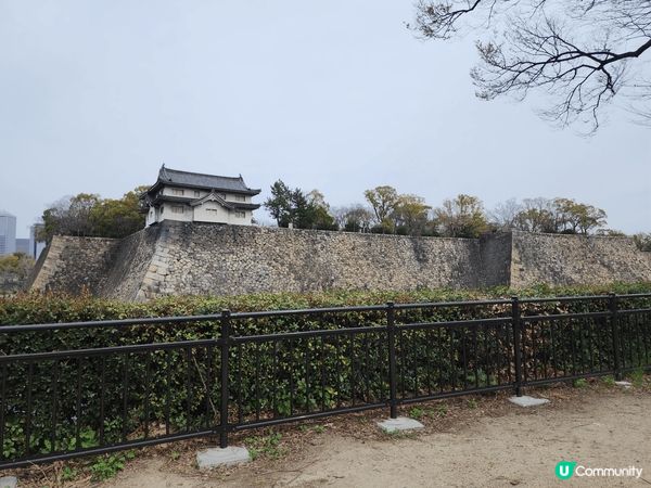 日本京都之旅，行程豐富，景點美，很開心的旅程