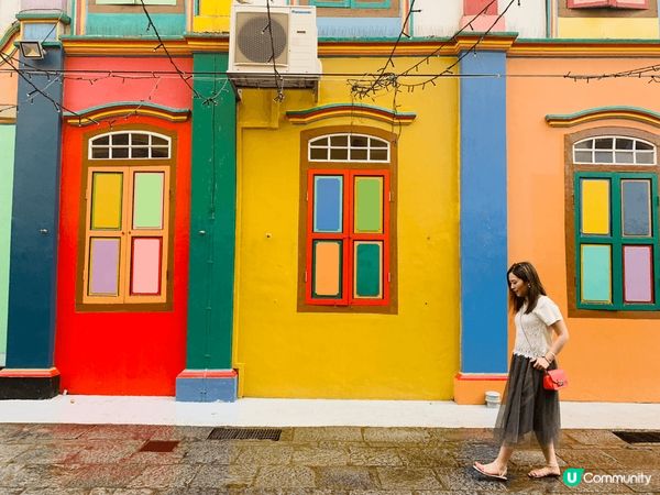 台南 紐西蘭 新加坡