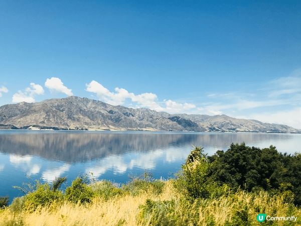 台南 紐西蘭 新加坡