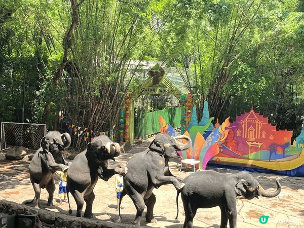 這是泰國野生動物園，可以近距離接觸唔同?動作，看動物表演sh...