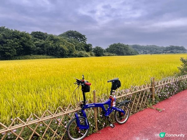 不妨相約三五友好，話走就走的稻田騎行出出汗，比心靈有份寧靜和...