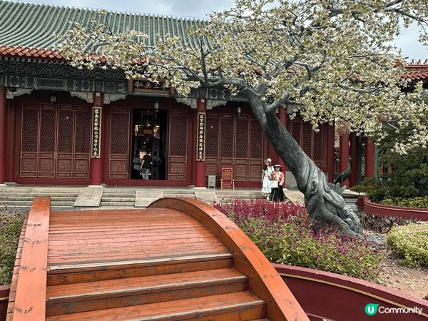 珠海圓明新園，風光如畫，地方大，環境清幽，散步打卡一流。