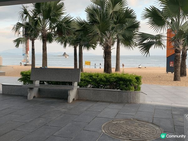 大梅沙是一個非常交通方便和快捷的景點，環境寫意舒適，打咭點也...