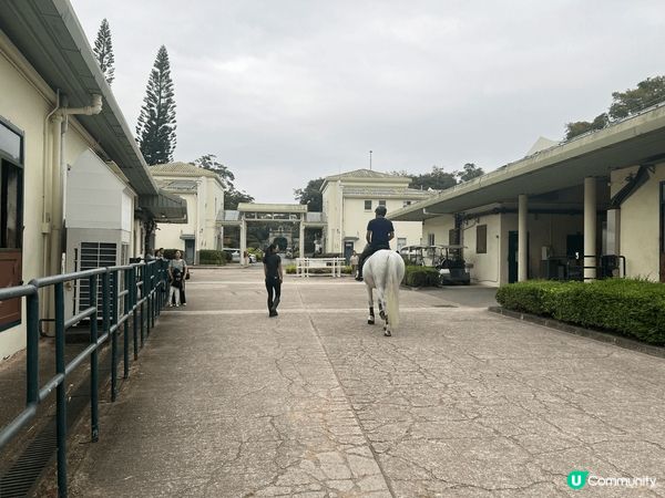 位於上水雙魚河的賽馬會鄉村會所，無論環境和配套都非常適合假期...