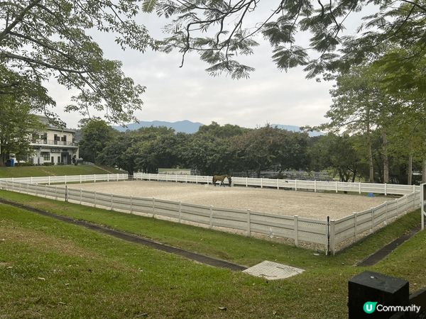 位於上水雙魚河的賽馬會鄉村會所，無論環境和配套都非常適合假期...