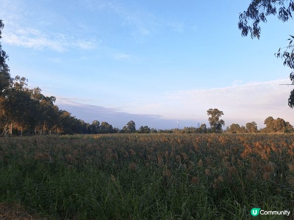 單車遊元朗到南生圍???♂????♀?