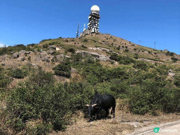 1. 大帽山頂，是香港最高山峰