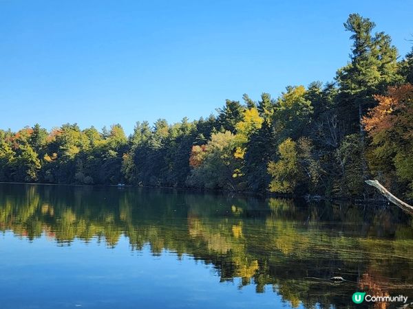 多倫多Bond Lake天色很美，陽光普照，風景如畫，行山打...