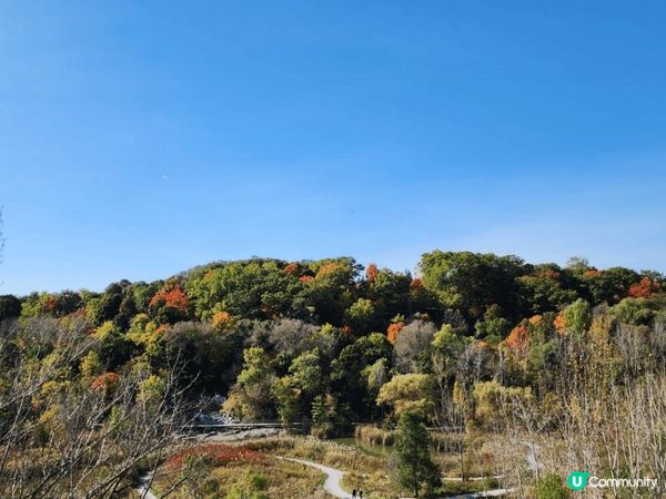 多倫多Bond Lake天色很美，陽光普照，風景如畫，行山打...