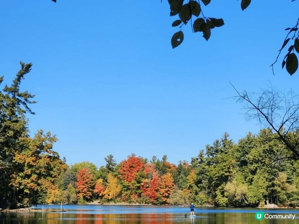 多倫多Bond Lake天色很美，陽光普照，風景如畫，行山打...