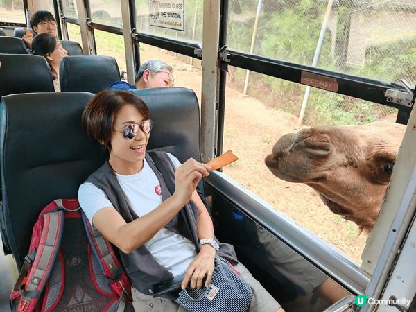 曼谷的北碧野生動物園，除了可以看見很多不同的野生動物外，最特...