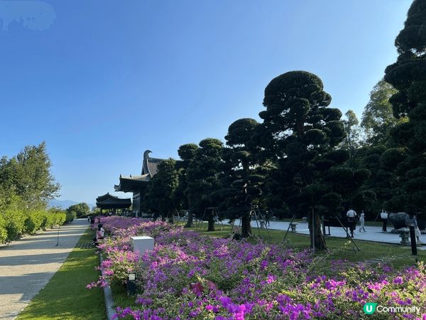 慈山寺位於香港新界大埔區，是一個融合自然與文化的靜謐之地。秋...