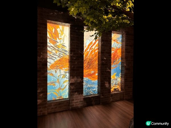 「哈利‧波特：展覽」是一個開創性的巡迴展覽，旨在透過高水準的...