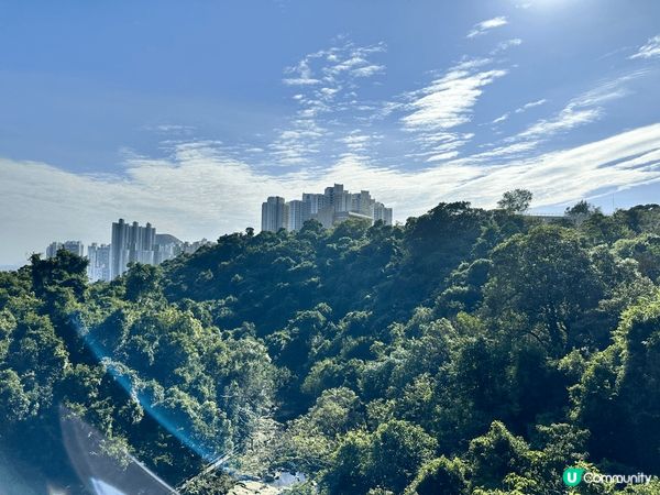 香港仔水塘，環境清幽，草木扶疏，有時行行?會見到野豬，得閒去...