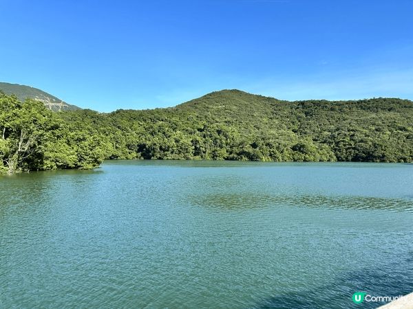 香港仔水塘，環境清幽，草木扶疏，有時行行?會見到野豬，得閒去...