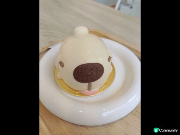 打卡點，台中必吃燒烤肉老井，好高質燒肉