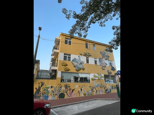 每次去到澳門都會發現周邊的建築物好有歷史故事，充滿?當代的文...