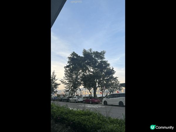 西灣河好去處!鯉景灣happy hour !睇住風景飲住酒,...