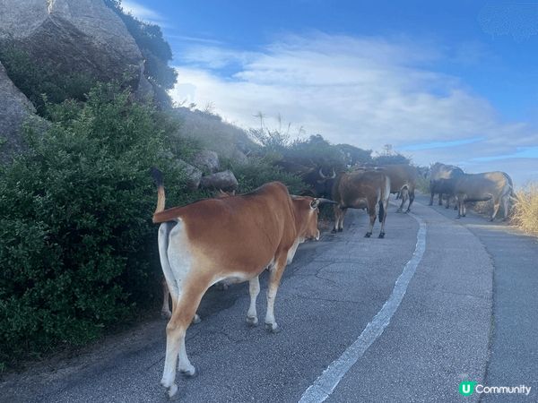 秋高氣爽，選擇行山路徑的話，大帽山郊野公園確實是個好選擇。