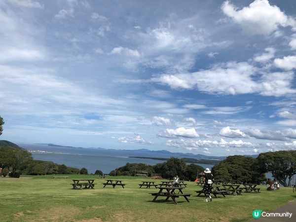 日本福岡能古島一個超多打卡的好地方，不過睇番月份有什麼花，不...