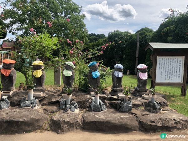 日本福岡能古島一個超多打卡的好地方，不過睇番月份有什麼花，不...