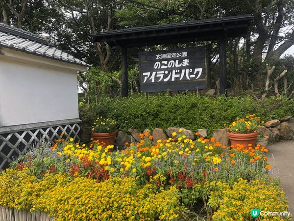 日本福岡能古島一個超多打卡的好地方，不過睇番月份有什麼花，不...