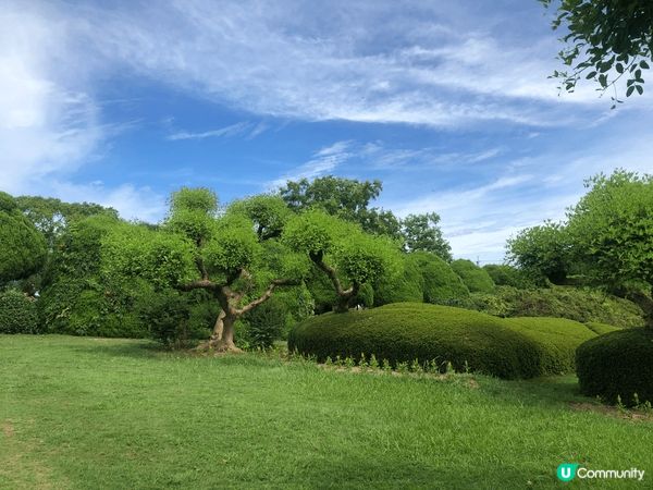 日本福岡能古島一個超多打卡的好地方，不過睇番月份有什麼花，不...