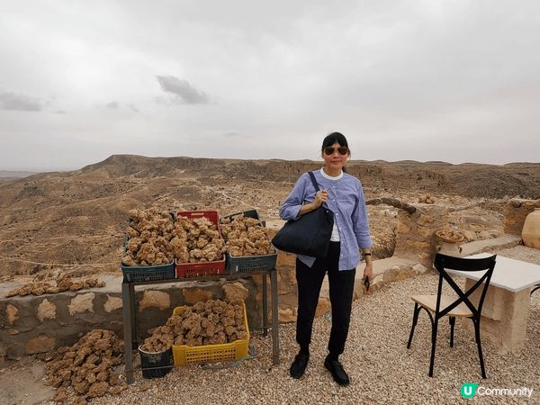 北非突尼西亞！異地風情，體驗沙漠??遊牧民族文化。