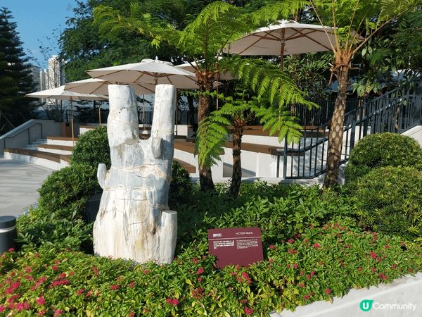 位於荃灣如心廣場內的木化石公園，雖然是由私人集團成立及管理，...