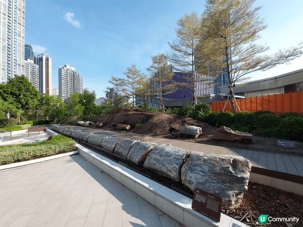 位於荃灣如心廣場內的木化石公園，雖然是由私人集團成立及管理，...