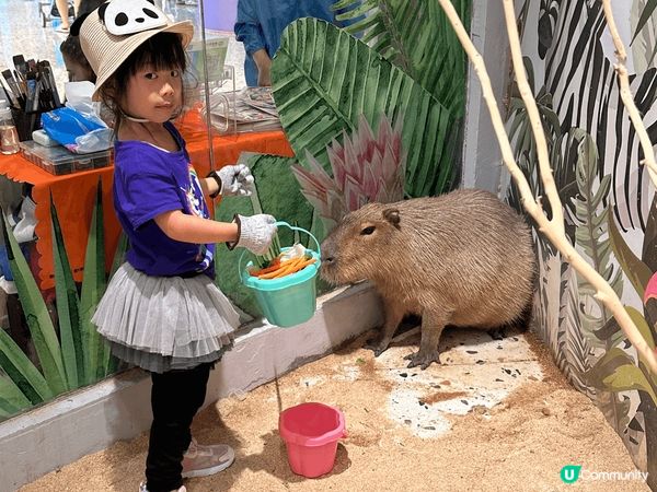 這裏是深圳筍崗，有很多好味的餐廳，好玩的遊戲，還有可以親身接...