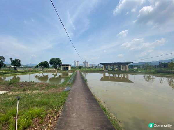 塱原自然生態公園預計在11月開放,但近日途經塱原濕地,發現公...