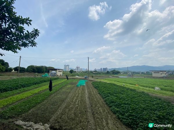 塱原自然生態公園預計在11月開放,但近日途經塱原濕地,發現公...
