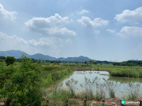 塱原自然生態公園預計在11月開放,但近日途經塱原濕地,發現公...
